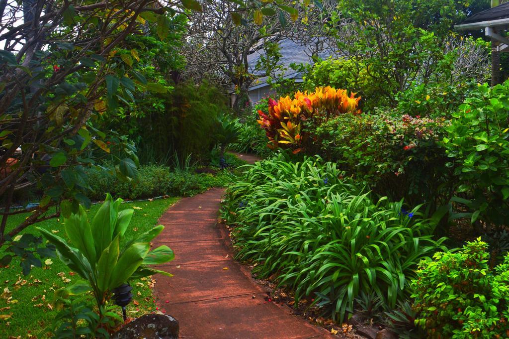 Banyan Tree B&B Retreat Makawao Exteriör bild